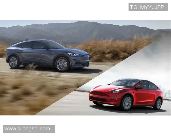 篮球明星与特斯拉的完美结合探索运动与科技的未来之路